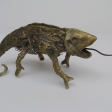 Chameleon, Eva Haskovcova 