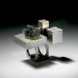 Karel Votipka "Ring"