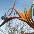 Firebird detail