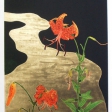 Hiroaki Miyayama
