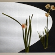 Hiroaki Miyayama
