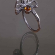 ring Lada Vosejpkova, photo Eva Hajsmanova