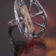 ring Lada Vosejpkova, photo Eva Hajsmanova
