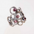 ring Lada Vosejpkova, photo Eva Hajsmanova