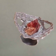 ring Lada Vosejpkova, photo Eva Hajsmanova