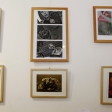 fotografický kroužek, Veselá Škola, Soukenická, Praha 1