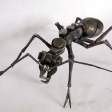 Ant, Milostovice Smithy