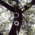 stromový šperk, Veronika Novotná / Lucky Waste