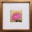 autorský tisk Růže, Hiroaki Miyayama